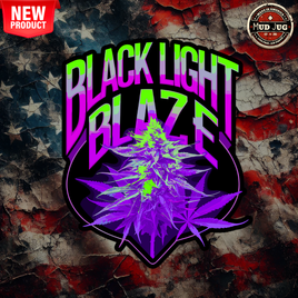 Mud Jug© Black Light Blaze Sticker Mud Jug
